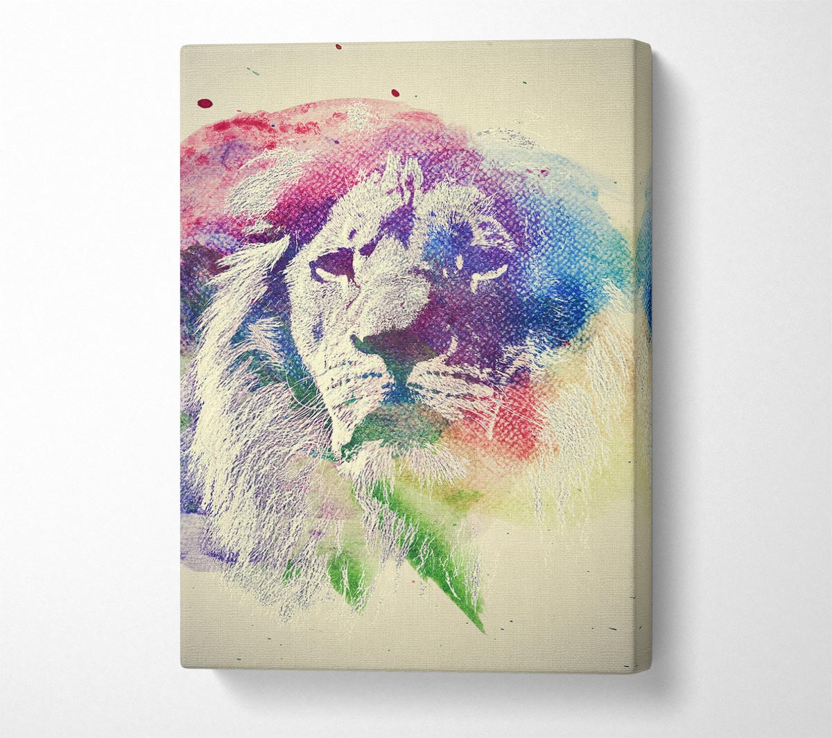 Rainbow Lion