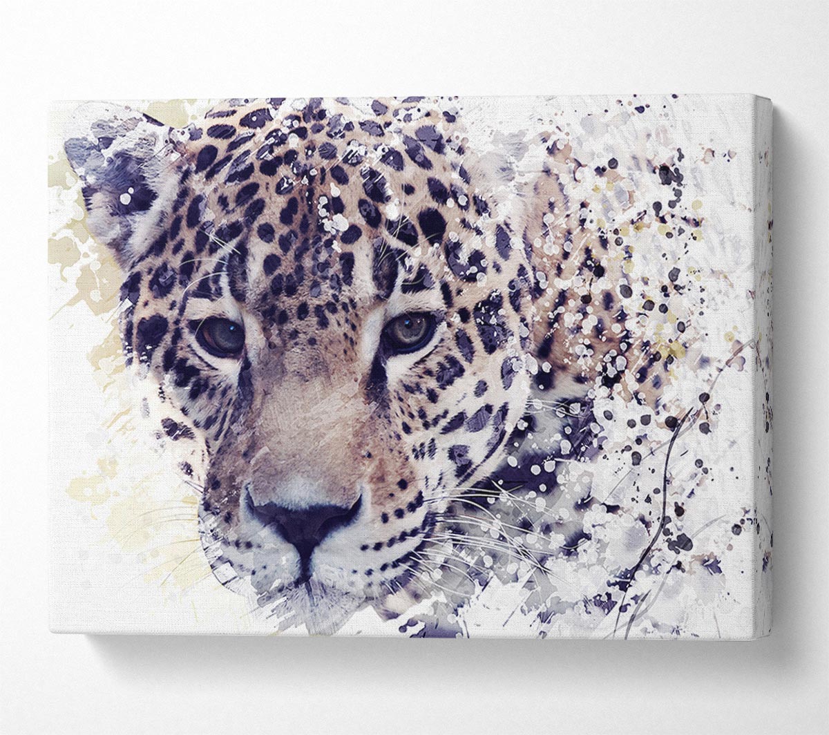 Leopard Splash