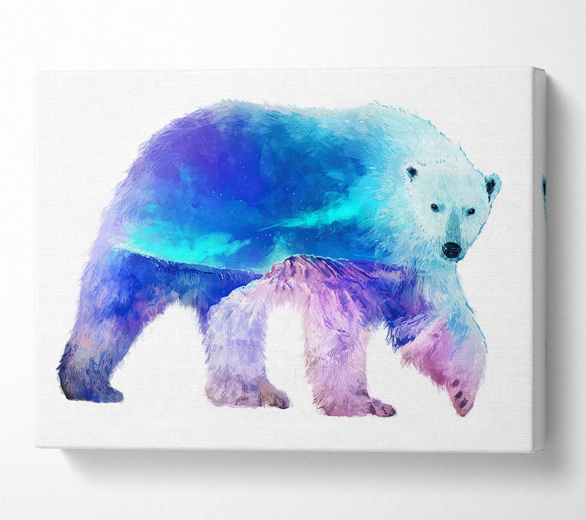 Polar Bear Glory