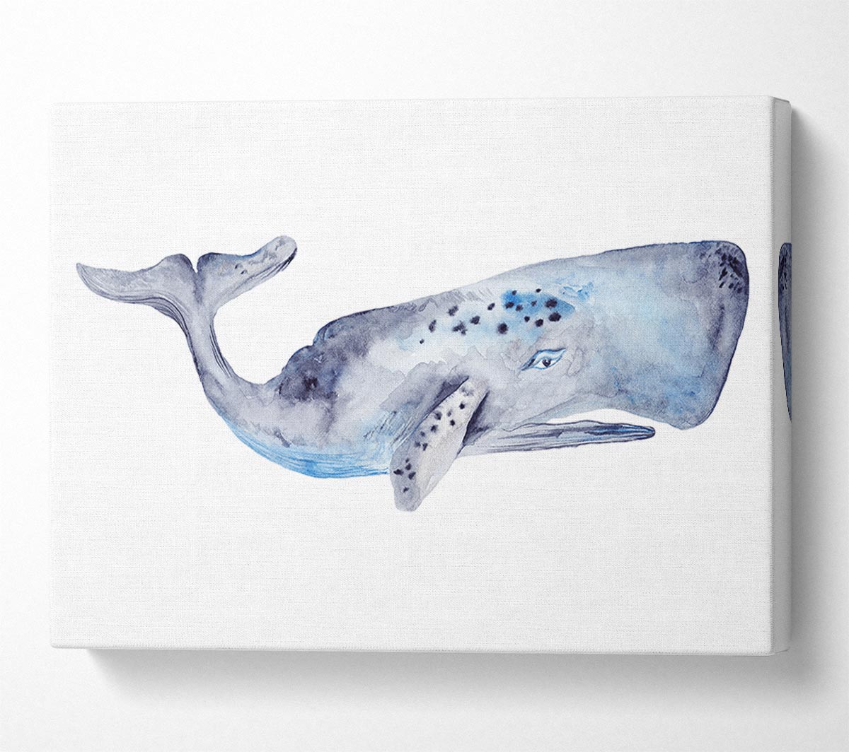 Whale