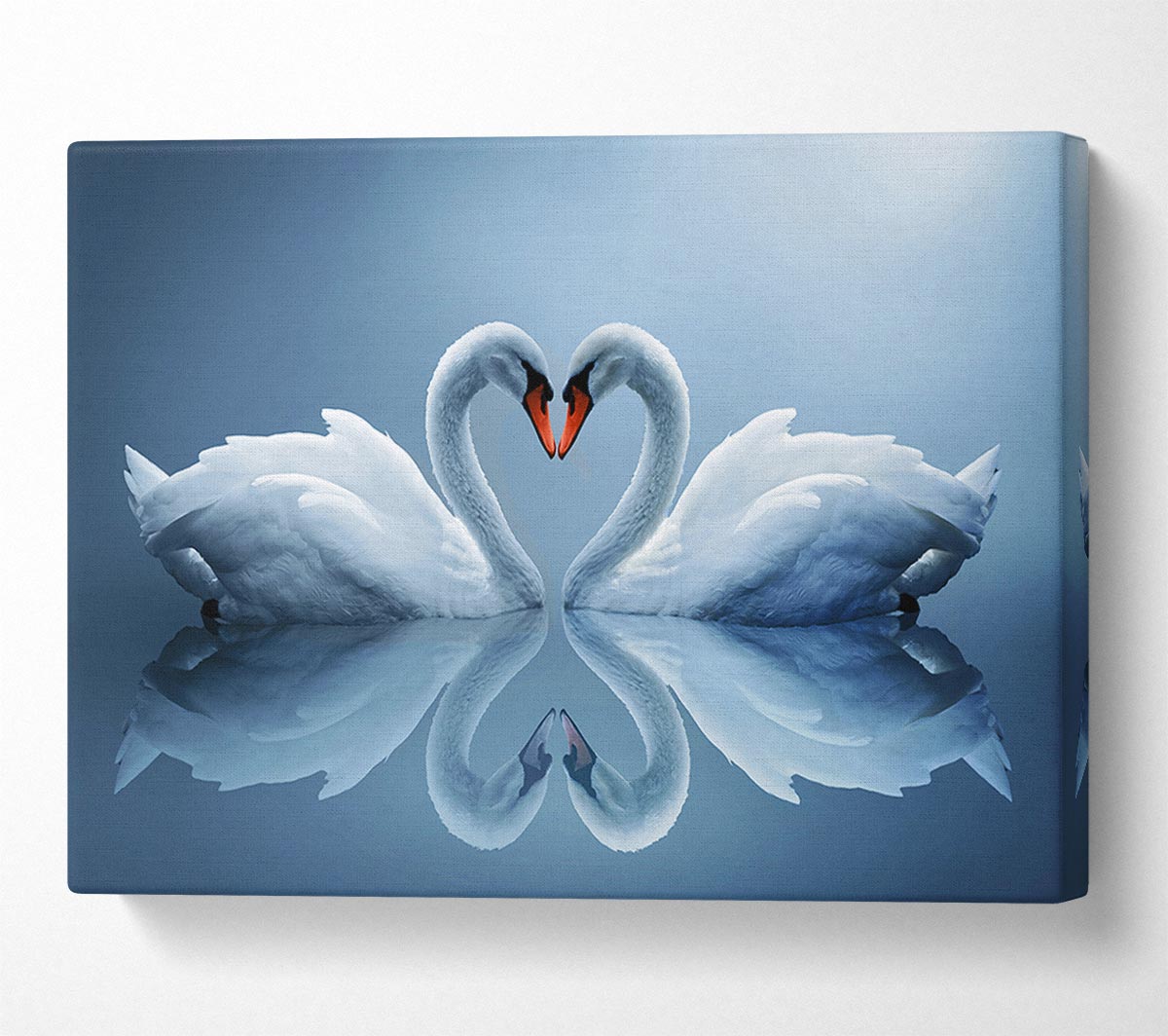 Heart shaped Swans