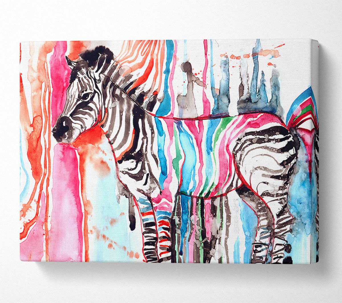 Funky Zebra