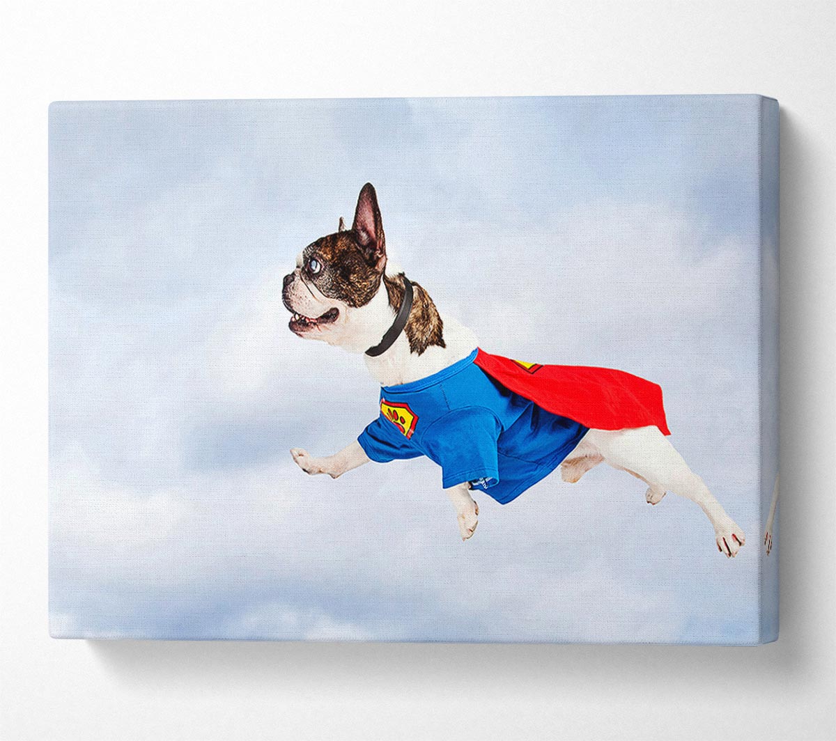 Super Dog Skies