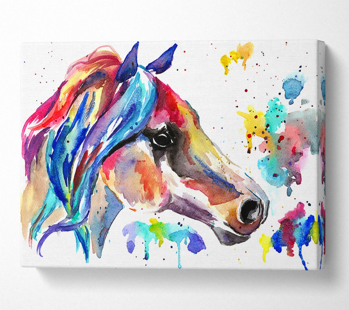 Rainbow Horse