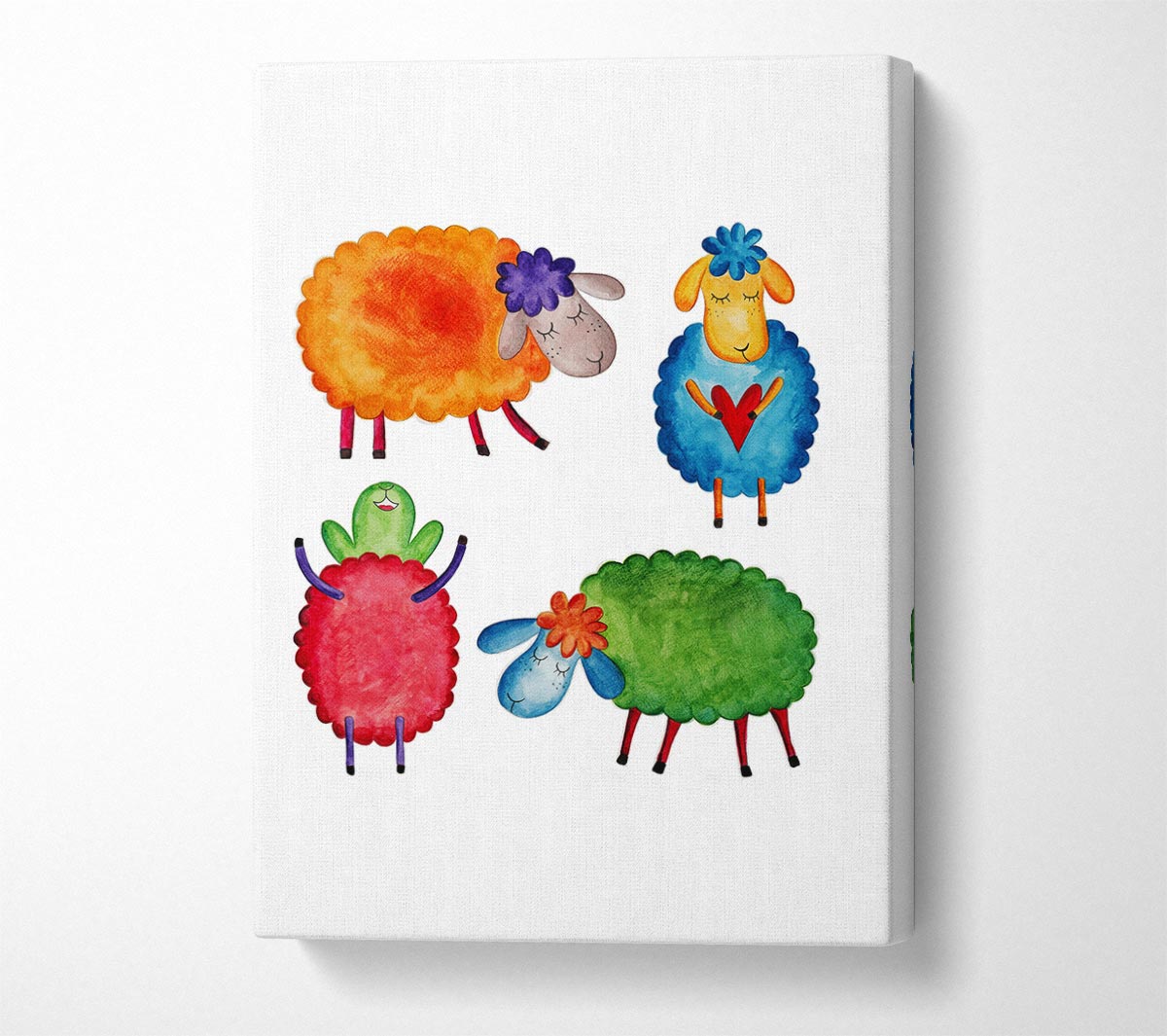 Colourful Sheep