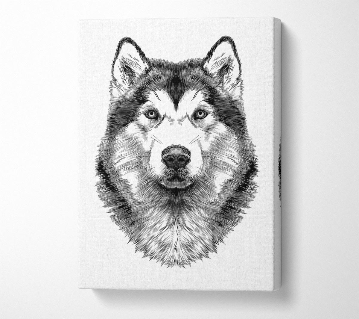 Husky Wolf