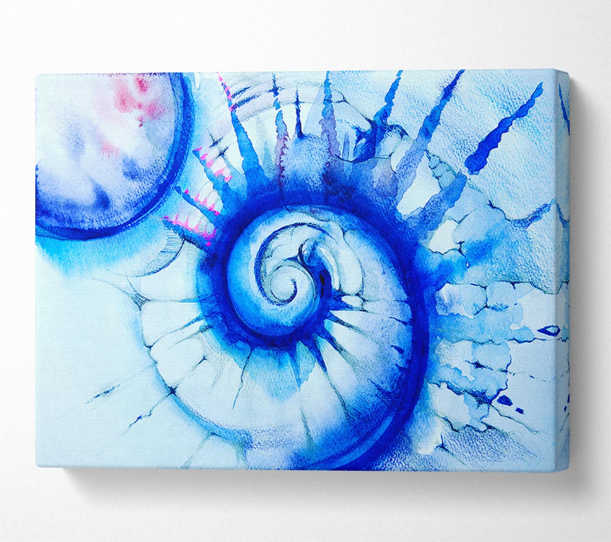 Blue Spiral Shell