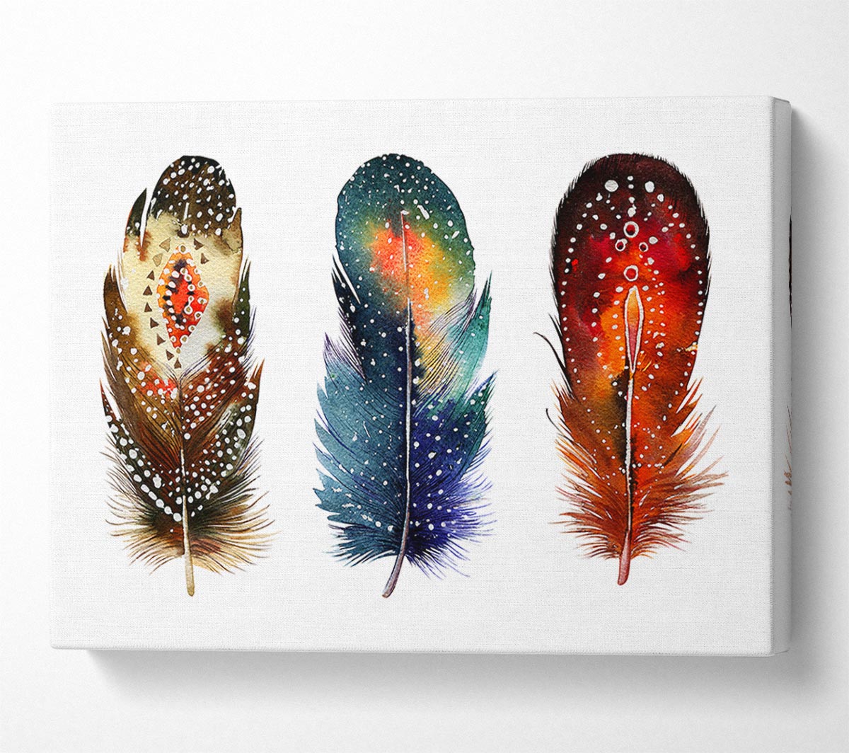 Indian Feathers