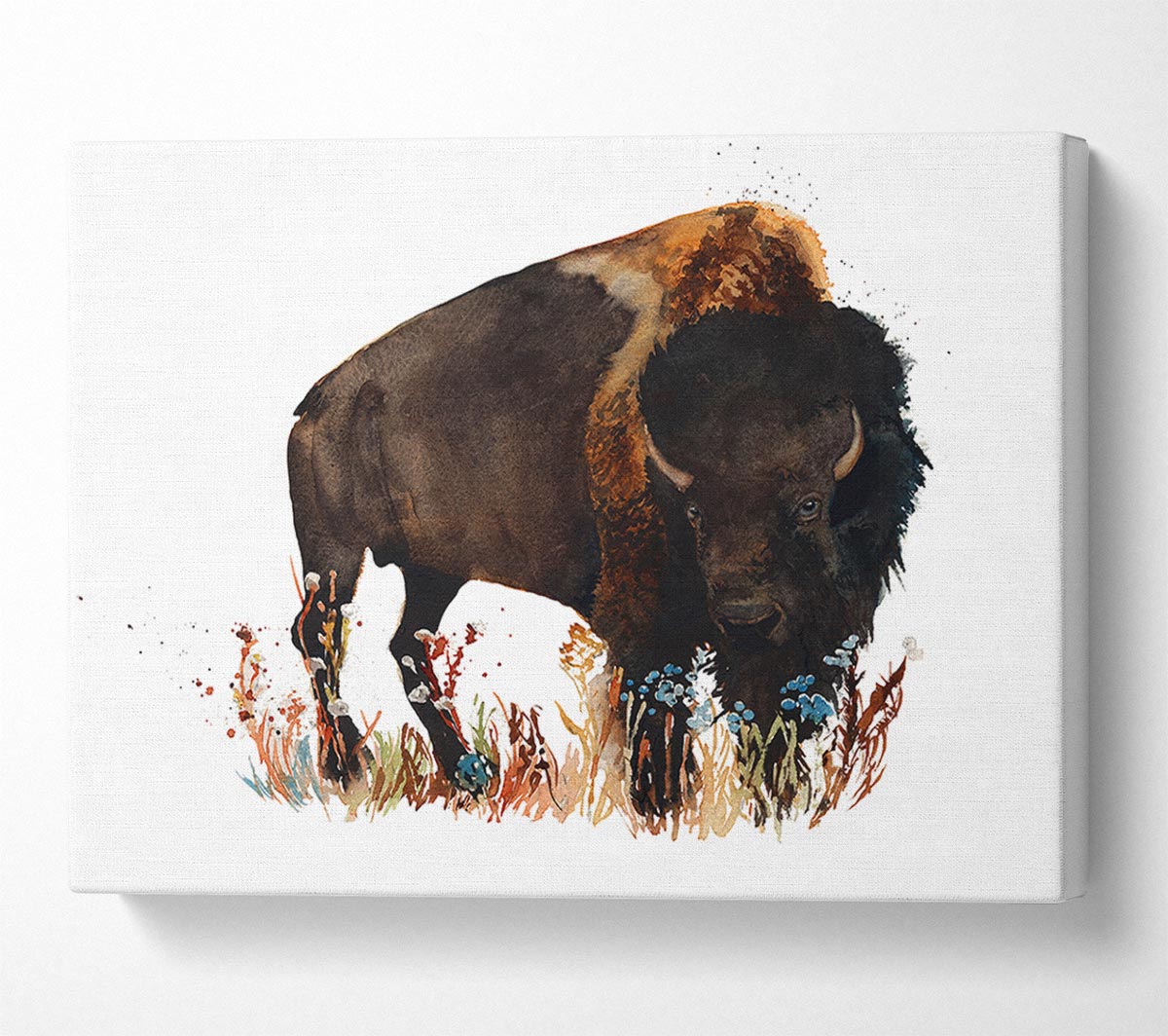 Bison Love