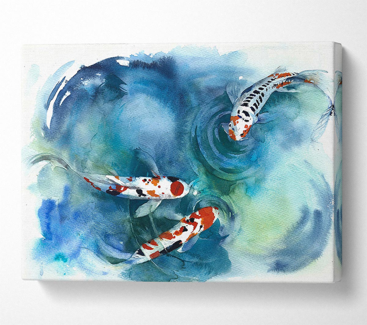 Koi Fish Teatime