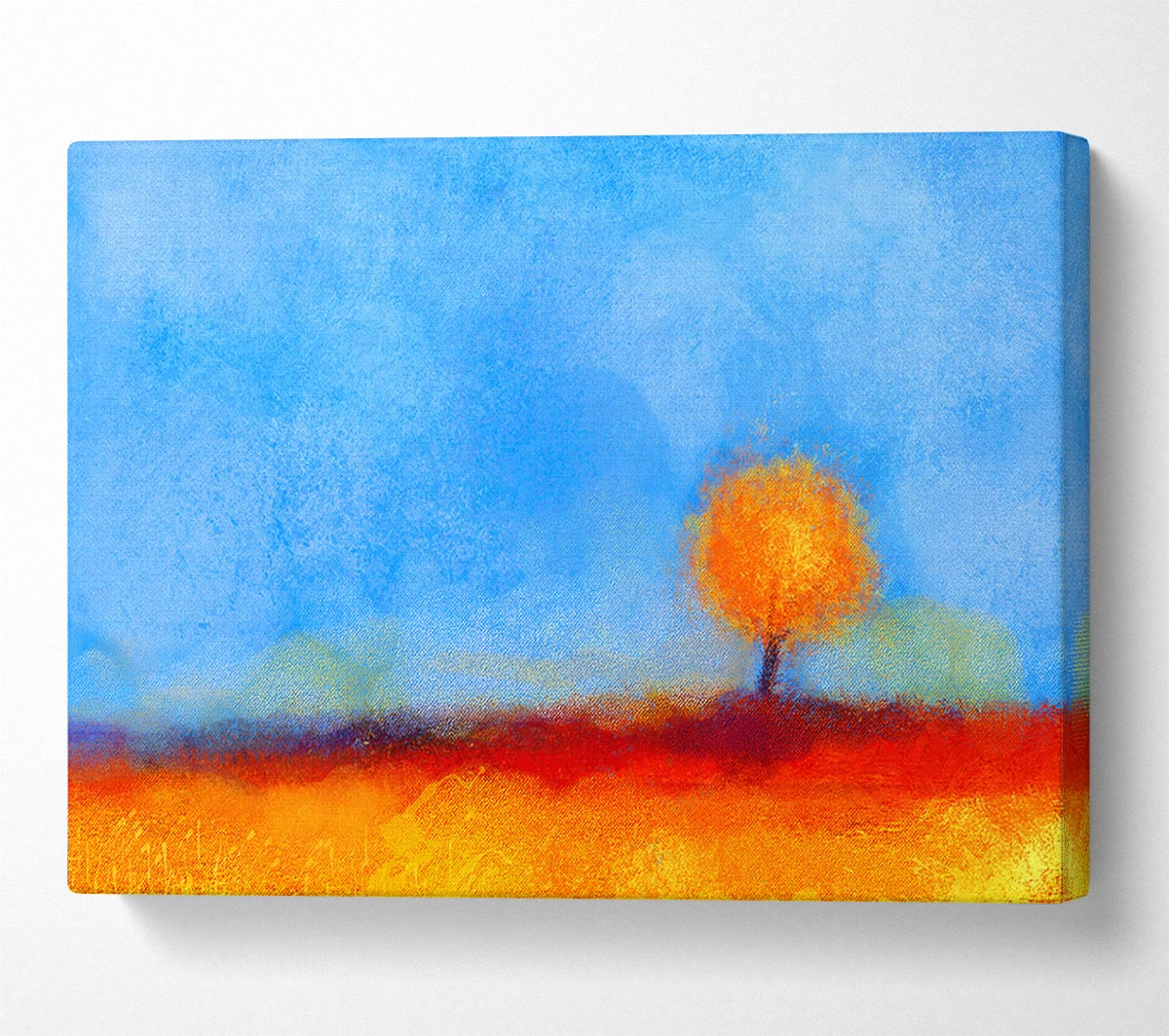 Lonesome Orange Tree