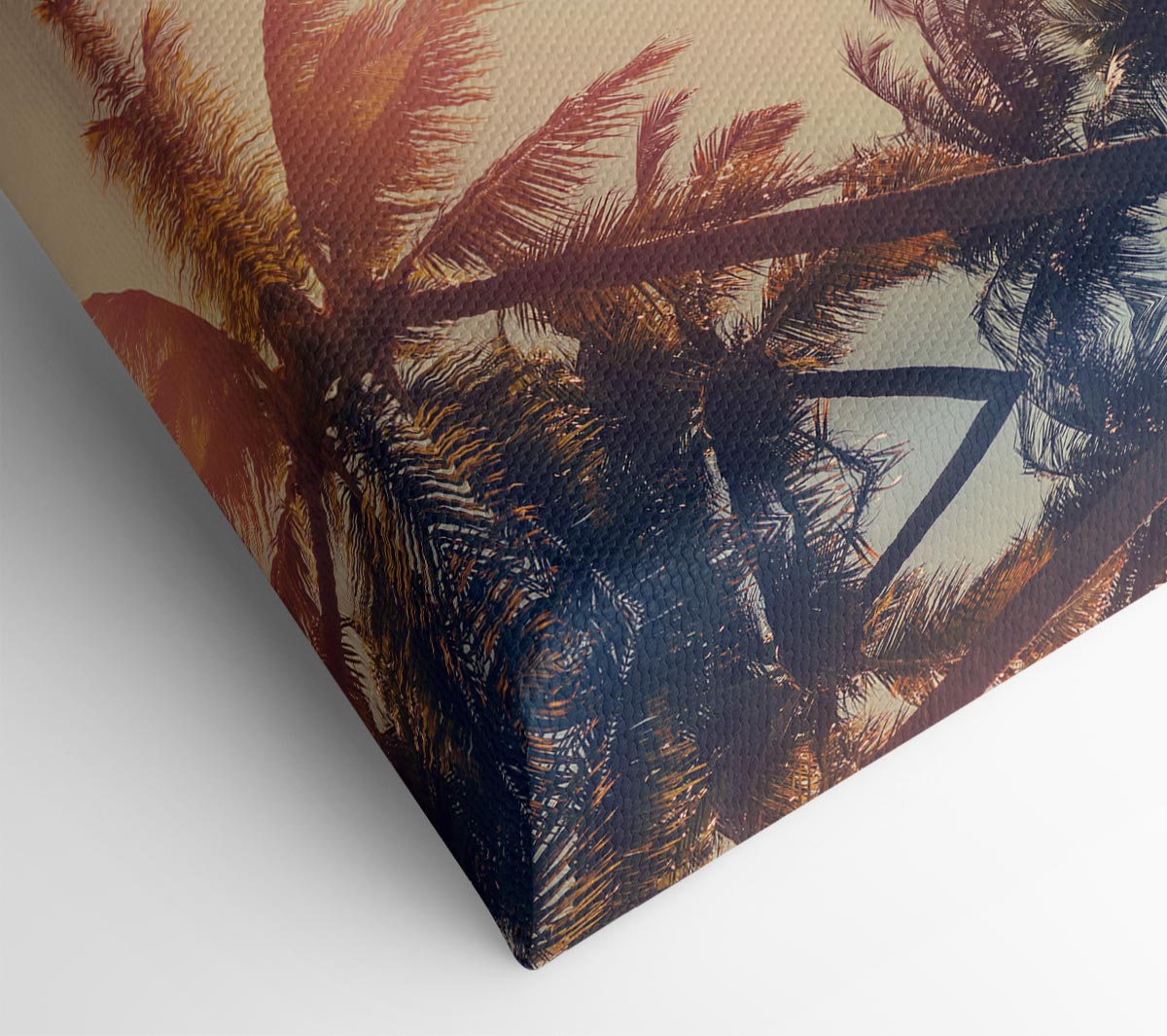 Palm Tree Haze 1