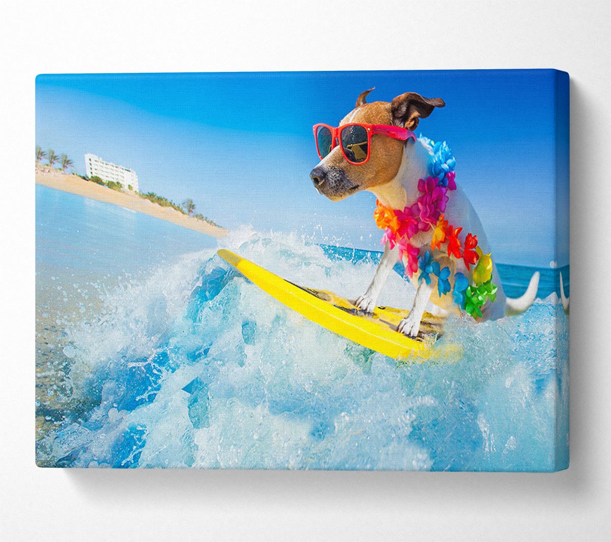 Dog with sunglasses surfing