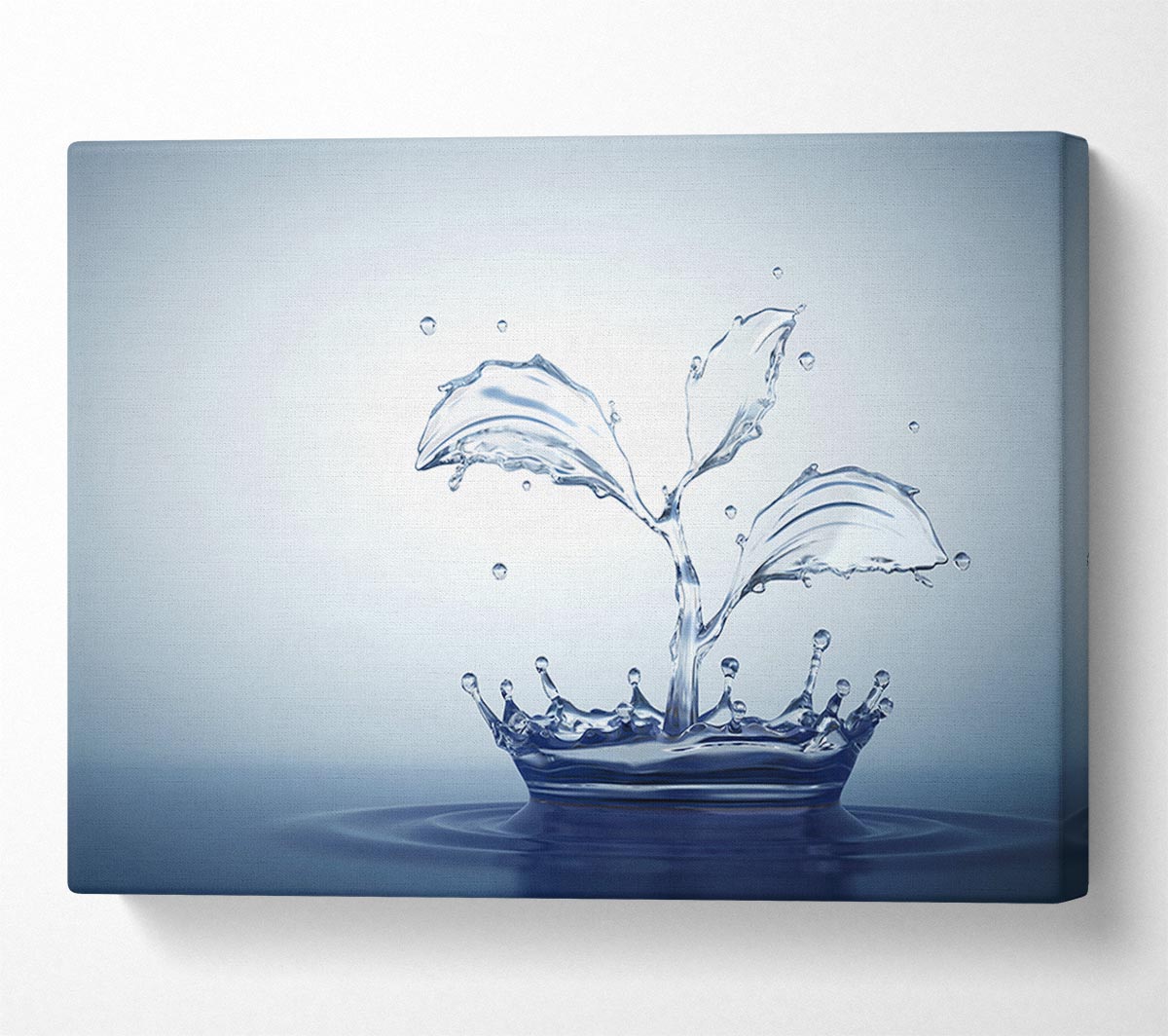 Water splash plant