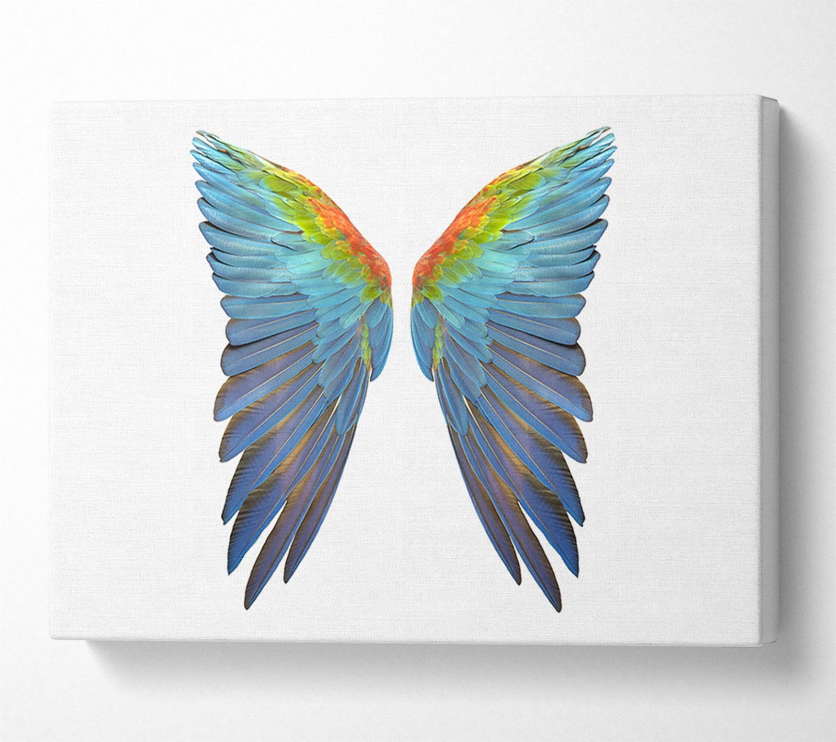 Parrot Vibrant wings