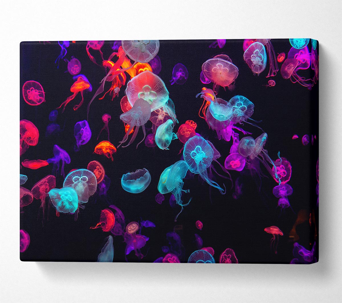 Neon Jellyfish frenzy