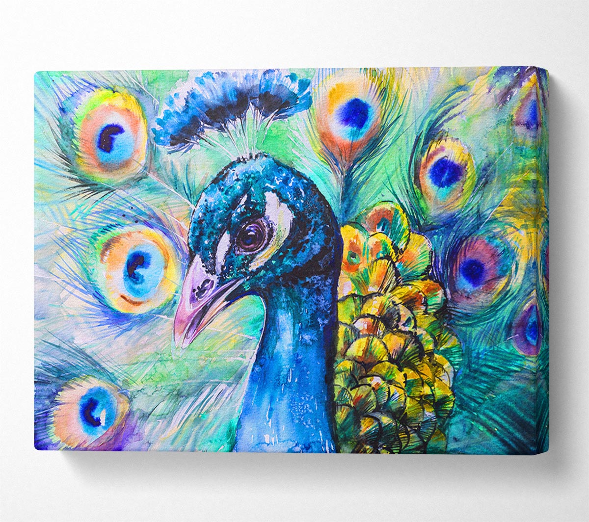 Vibrant Watercolour Peacock