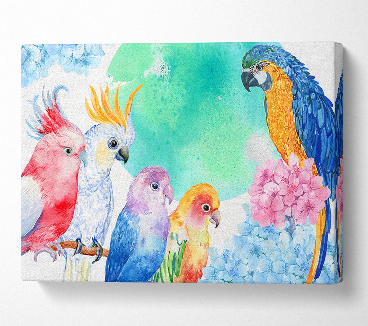 Array Of Watercolour Parrots