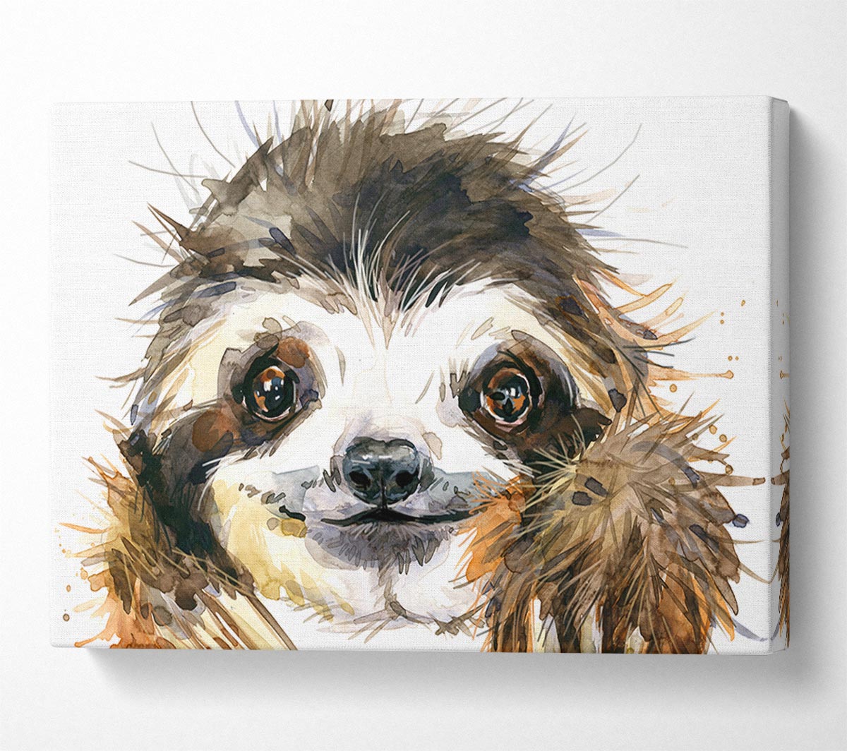 Water Colour Sloth