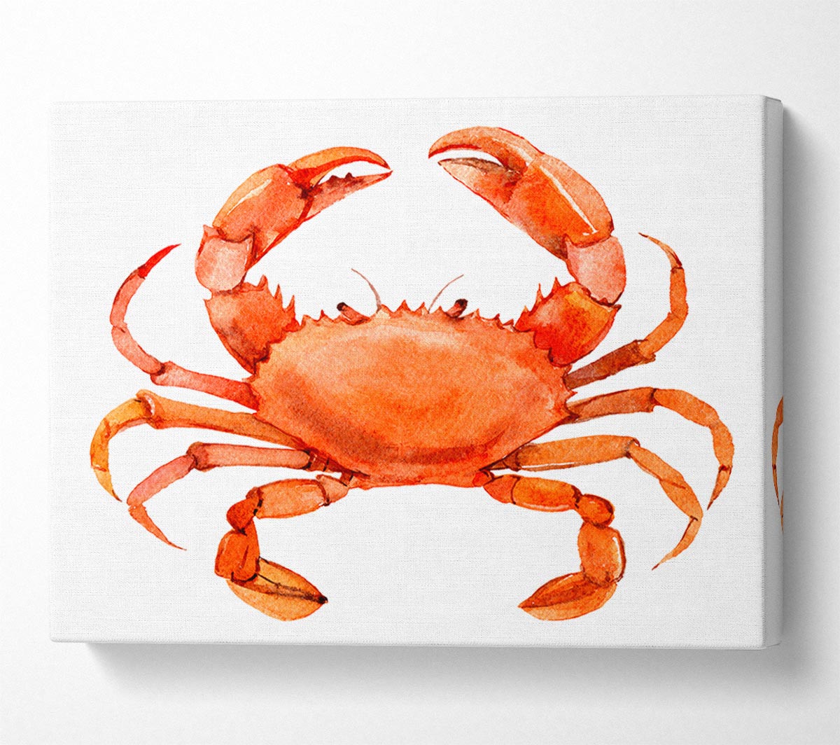 Watercolour Crab