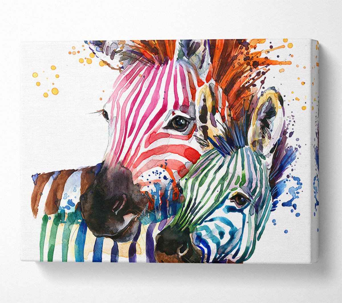 Multicoloured Rainbow Zebra