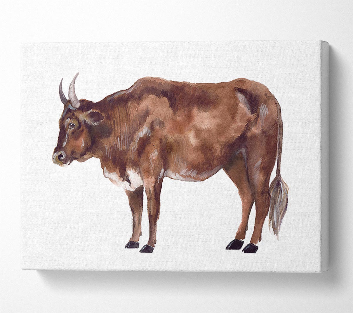 Big Brown Cow