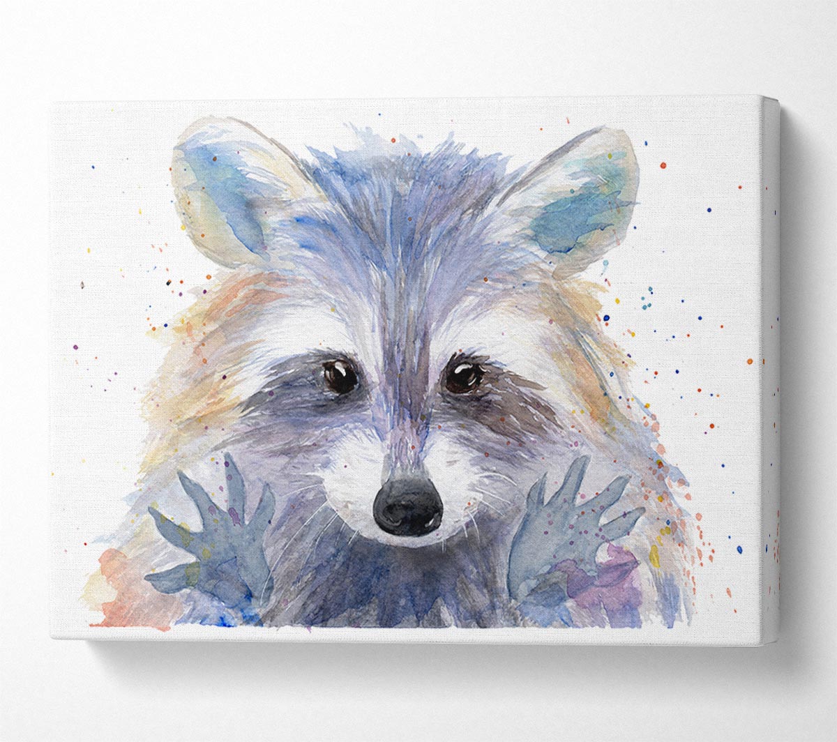 Watercolour Raccoon