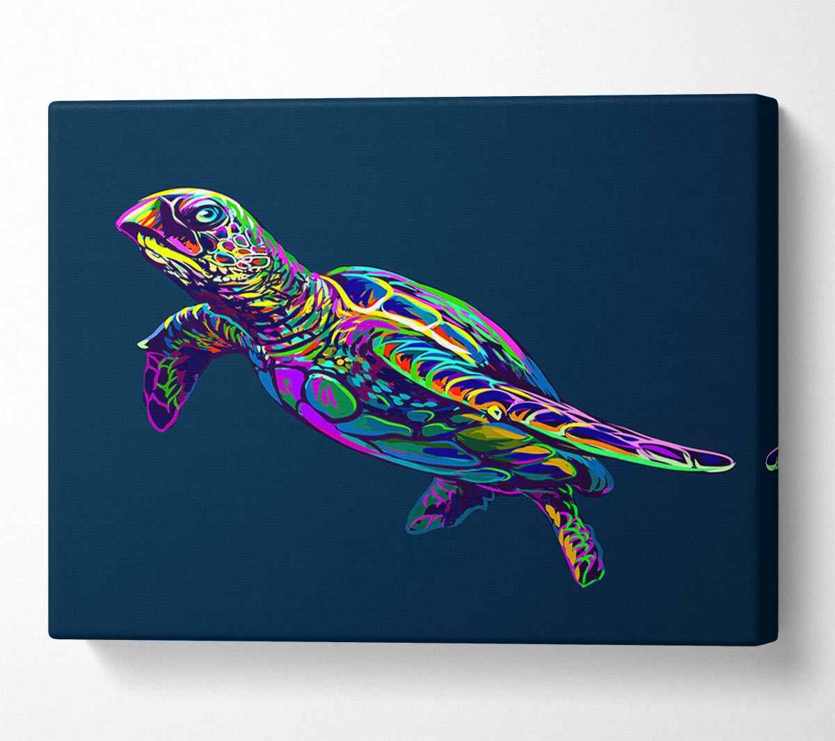 The Colourful Turtle