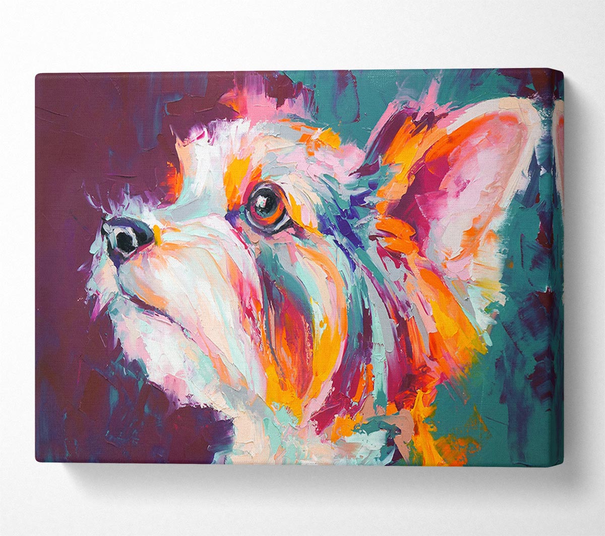 Vibrant Yorkshire Terrier