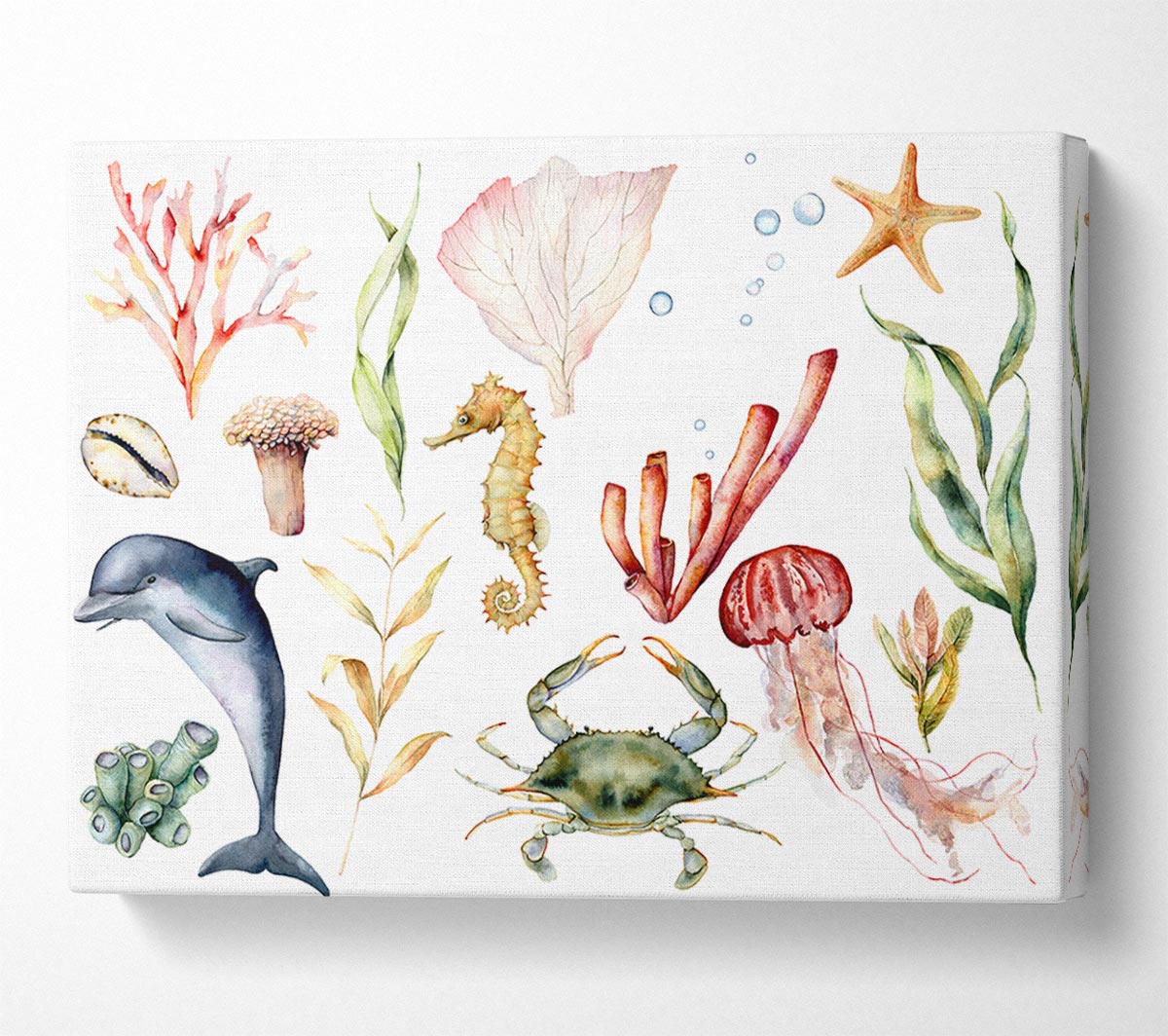 Water Colour Sea Creatures