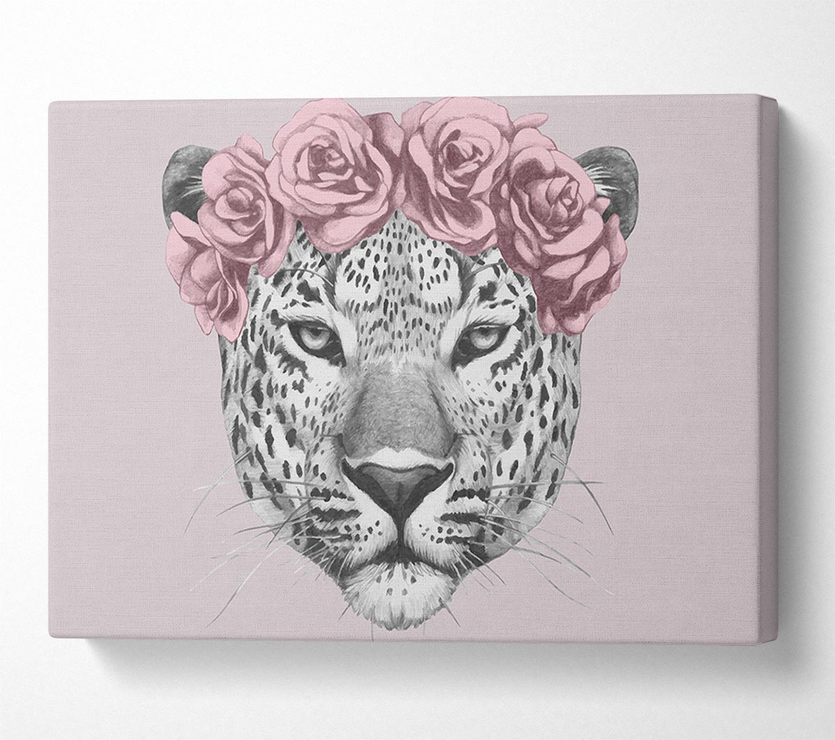 The Rose Head Leopard