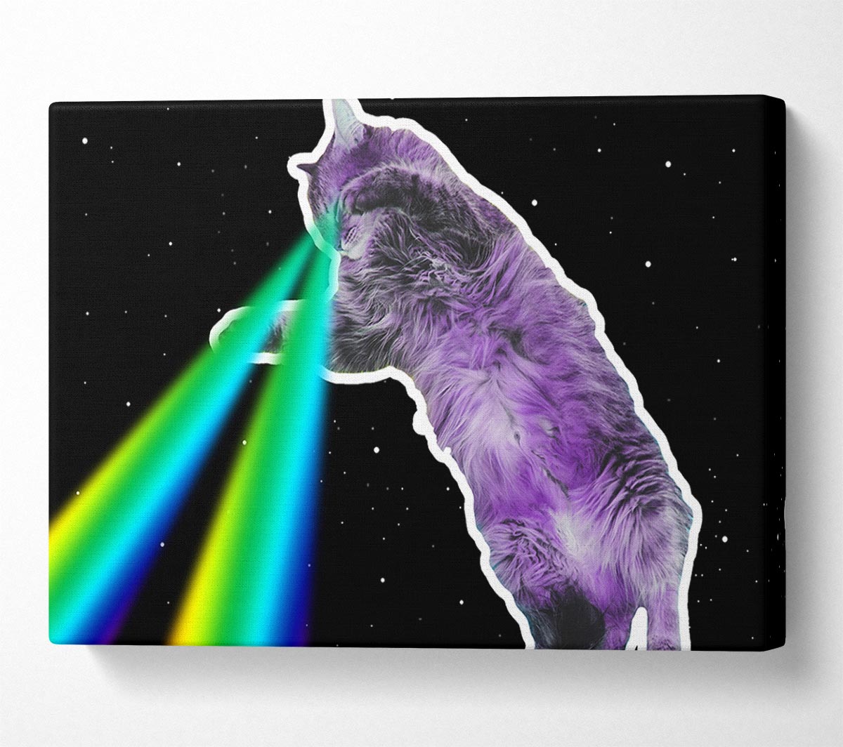 Cat Lazer Beam Space