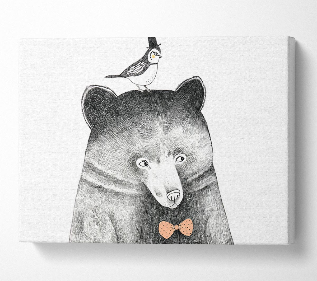 Bird And Bear