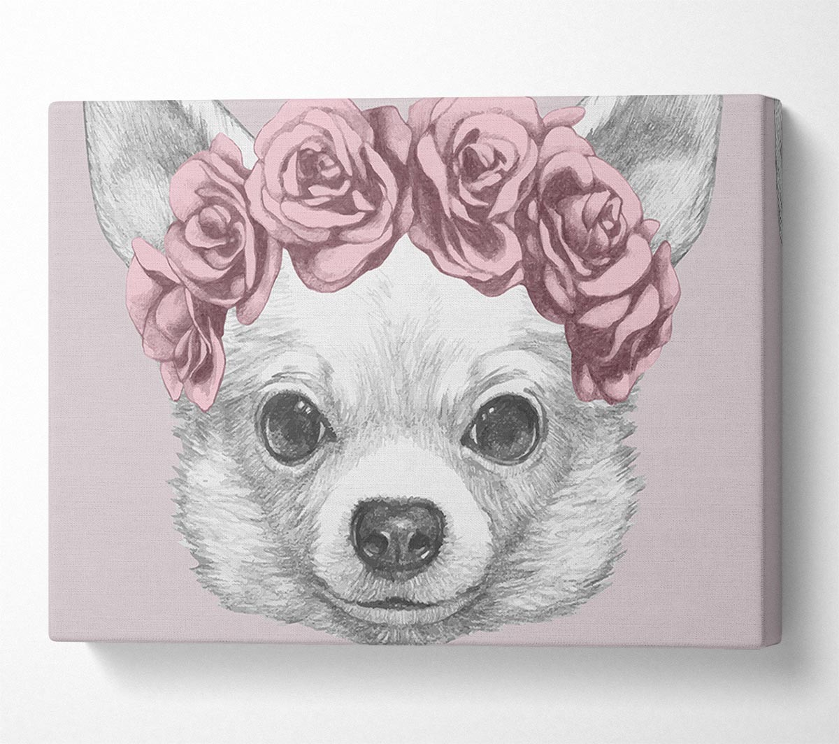 Flower Head Chihuahua