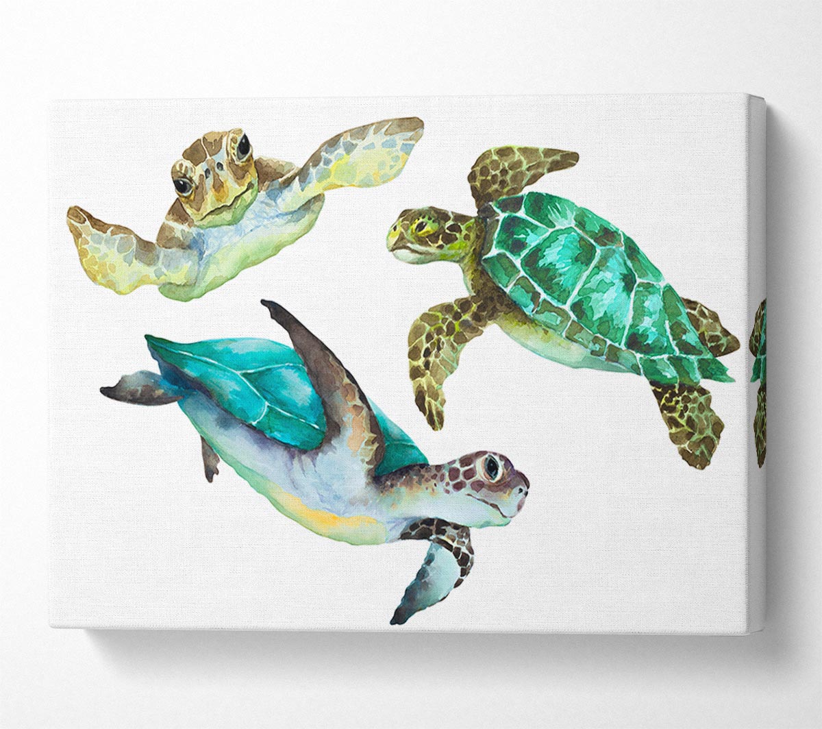 Seaturtle Love