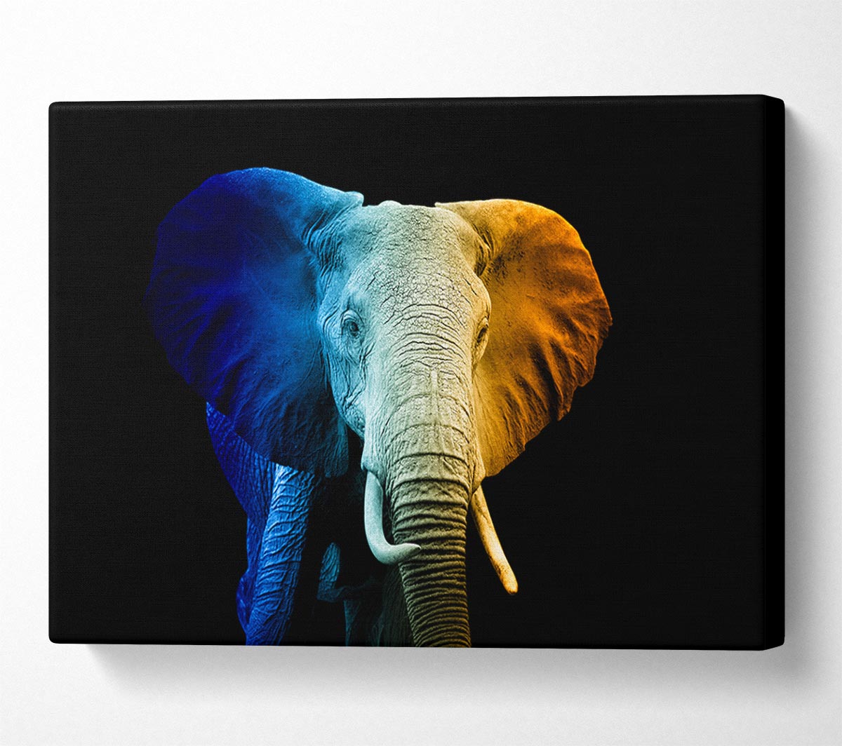 Tri Coloured Elephant