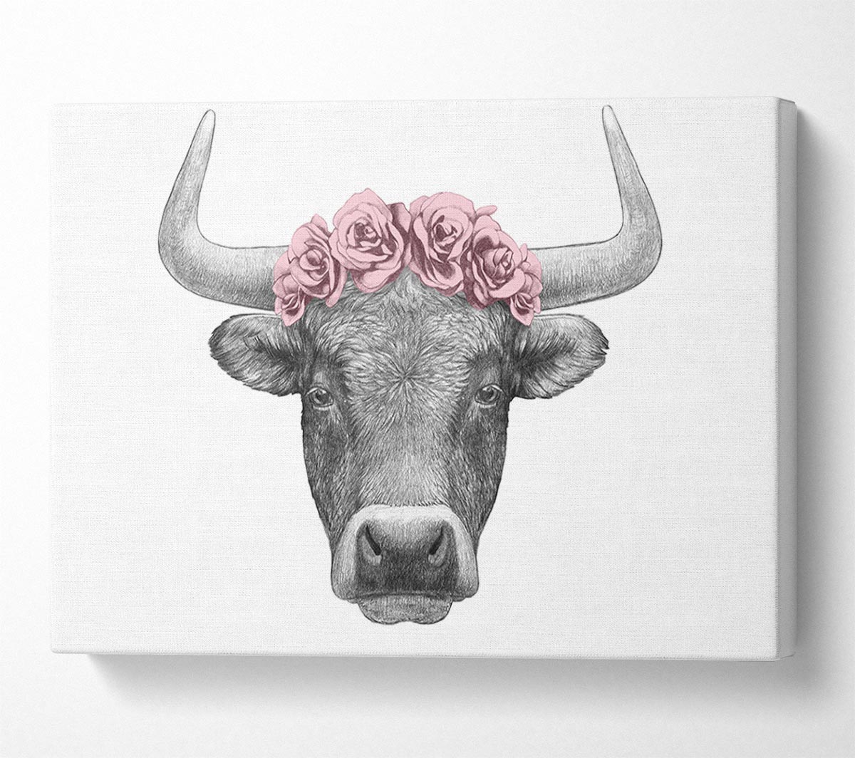 Rose Bull Head