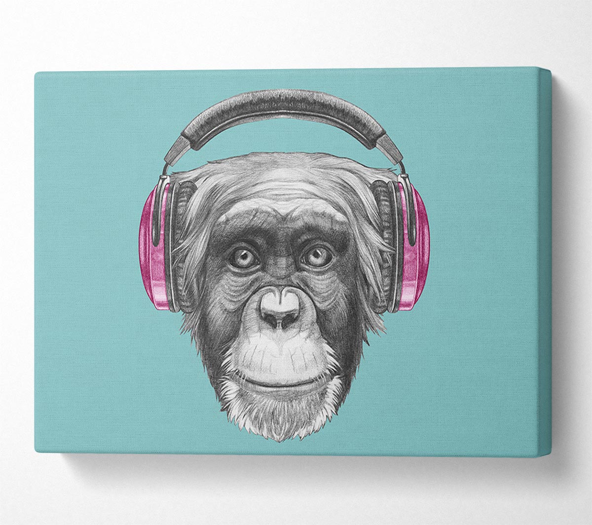 Chimpanzee Headphone Dj