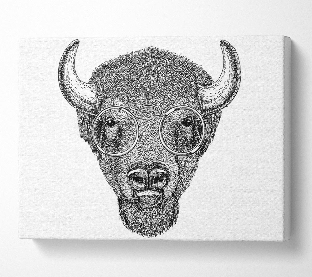 Glasses On A Bison