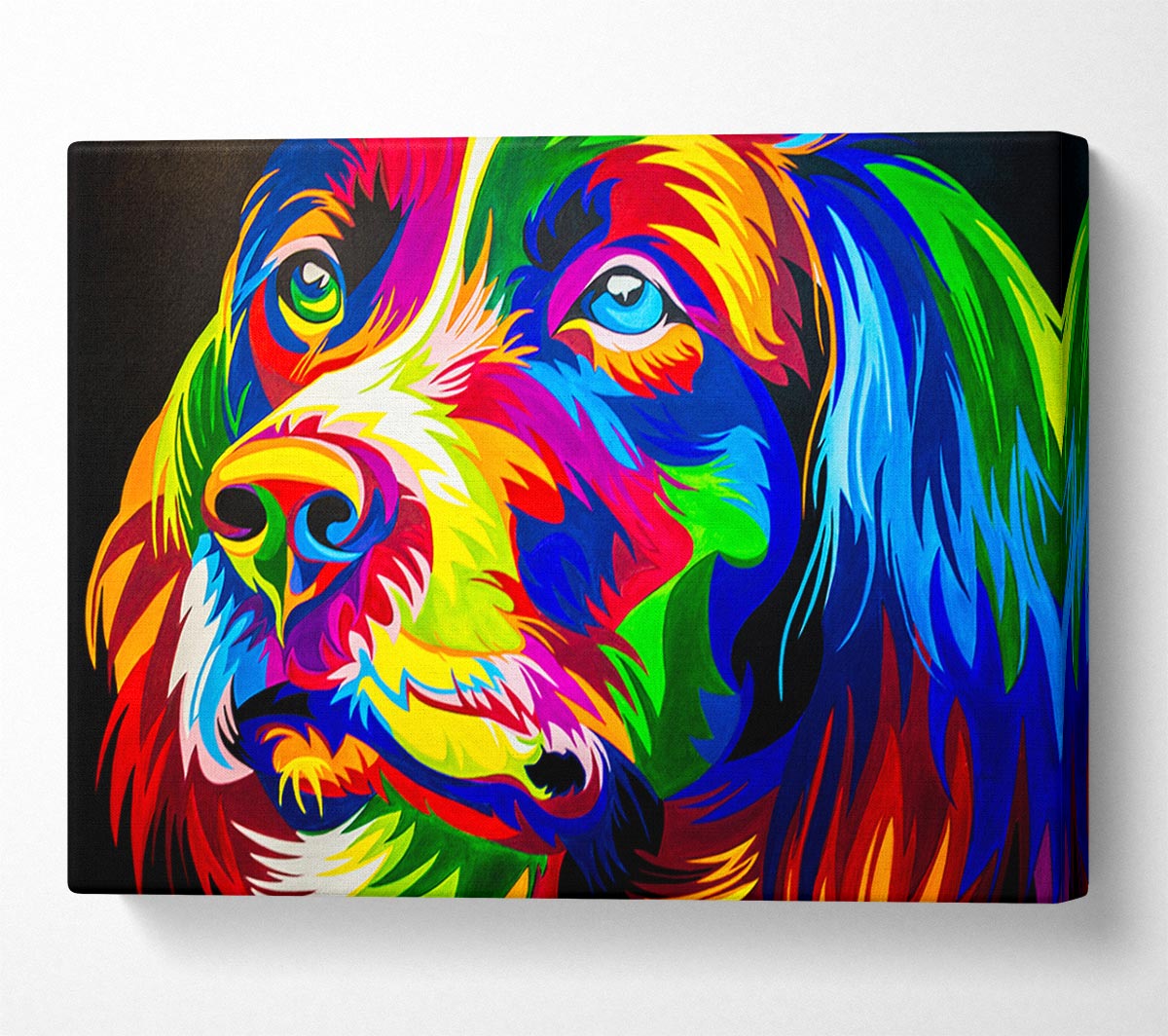 The Stunning Colourful Dog