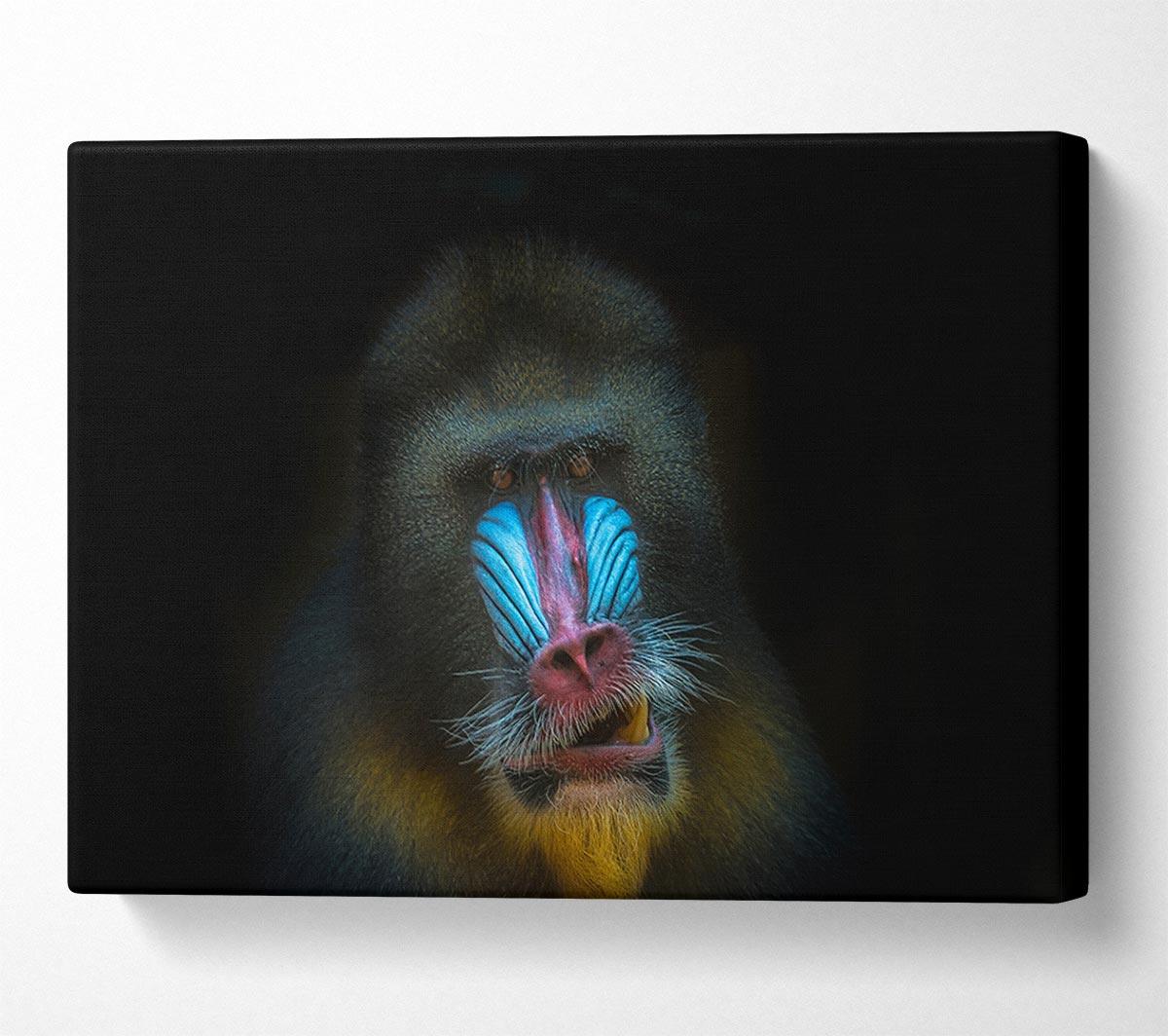 Mandrill Anger