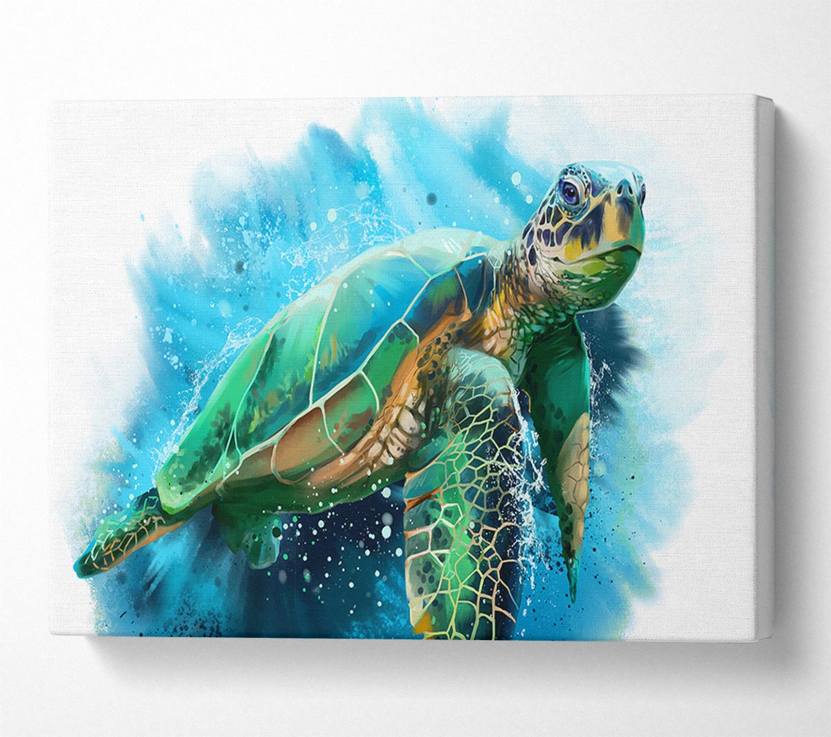 The Sea Turtle Watercolour