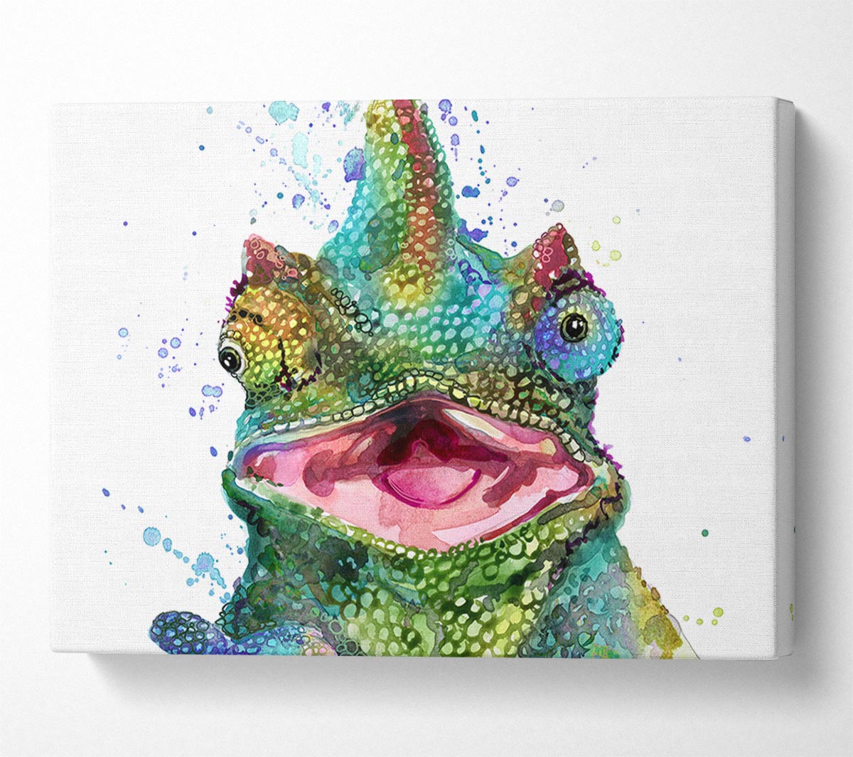 Chameleon Paint Splat