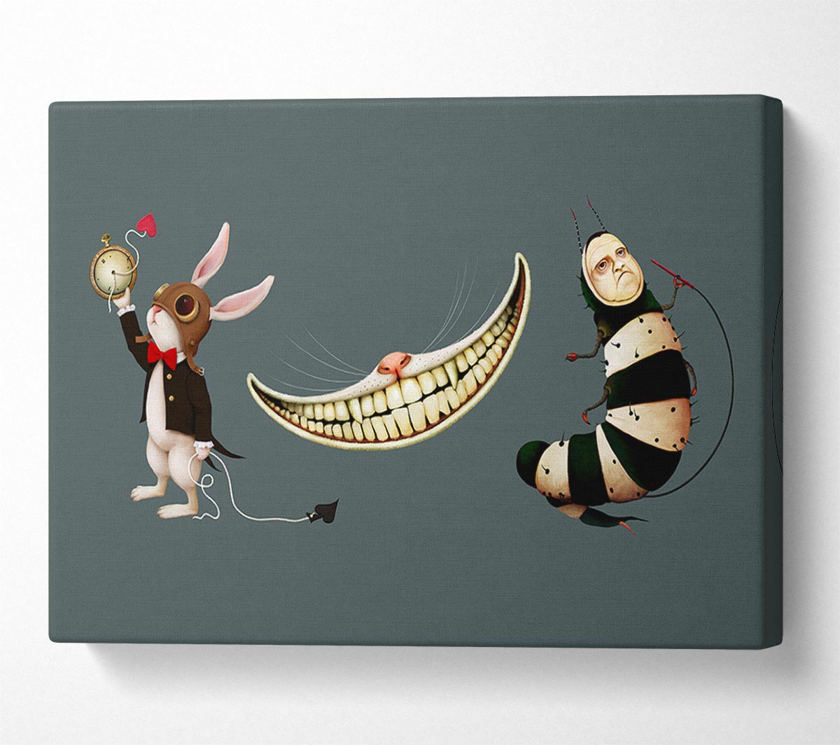 Alice In Wonderland Rabbit Cat And Caterpillar