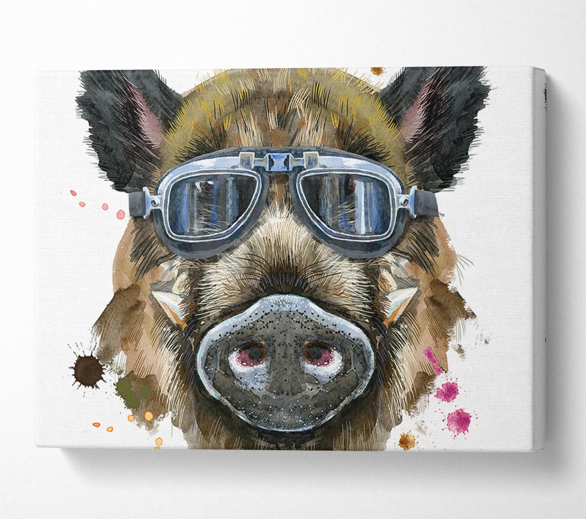 The Boar In Glasses