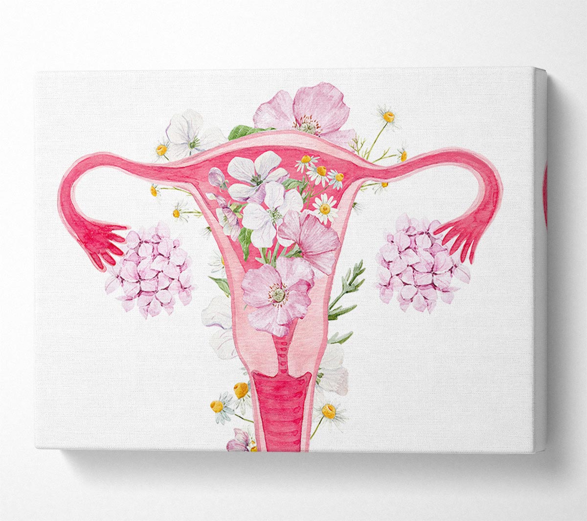 Floral Female Anatomy