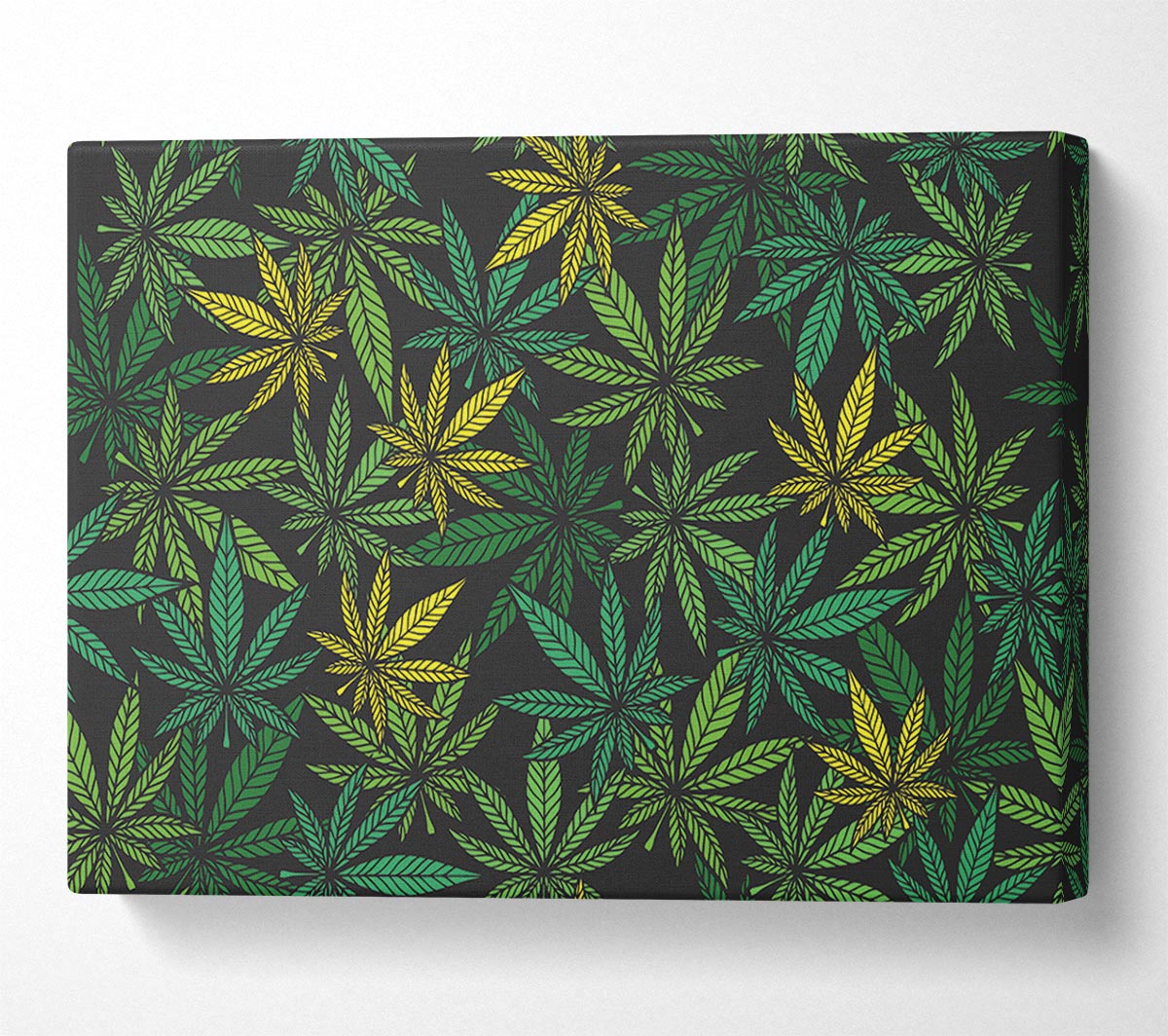 Cannabis Leaves