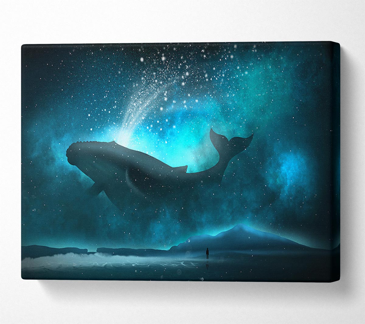 The Whale Of The Universe