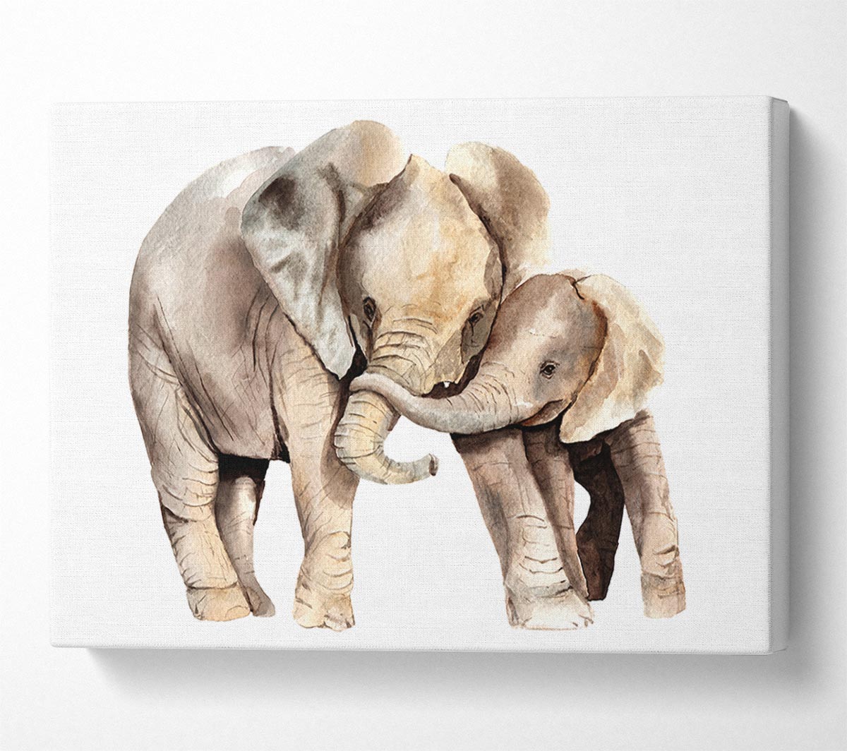 Elephants Holding Trunks