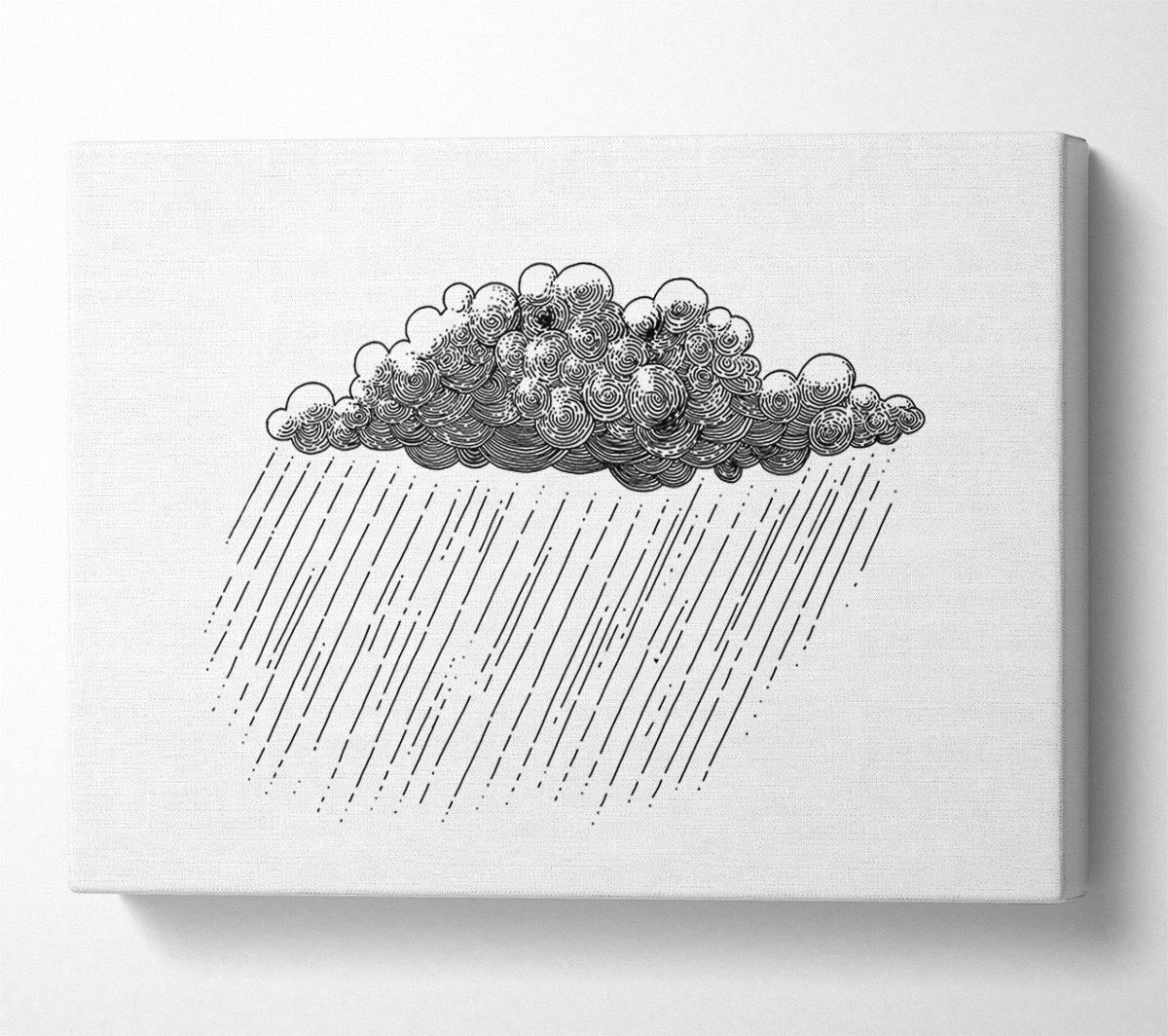 The Rainy Cloud